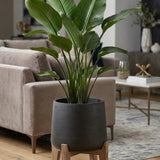 Patt Black Washed Feet Low Finestgreen || Abgebildete Größe: XXL