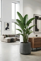 Patt Fiberstone Grau Finestgreen