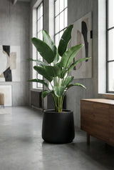 Patt Fiberstone Schwarz Finestgreen