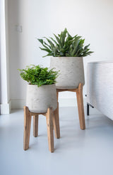 Patt Grey Washed Feet High Finestgreen || Abgebildete Größe: XL & XXL