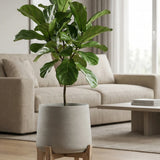 Patt Grey Washed Feet Low Finestgreen || Abgebildete Größe: XXL