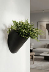 Hanging Wally Puk Schwarz Finestgreen