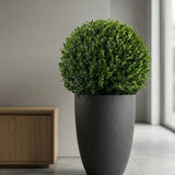 Ben Granite Midnight Black Finestgreen