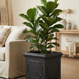 Block Classic Schwarz Finestgreen