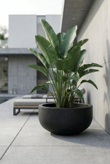 City Bowl Fiberstone Schwarz Finestgreen