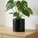 Mini Max Fiberstone Schwarz Finestgreen