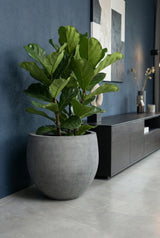 Orb Fiberstone Grau Finestgreen