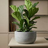 Sunny Fiberstone Grau Finestgreen