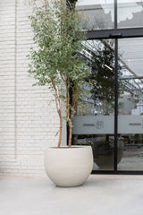 Jumbo Orb in grey washed finish by Pottery Pots, showcasing its round shape and textured surface against a neutral background.