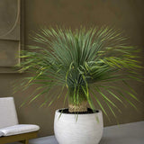 Jumbo Orb Ivory Washed - Finestgreen || Abgebildete Größe: XXS