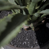 Pflanzkübel Mori Braun aus Zement & Bambus Pflanzkorb nahaufnahme