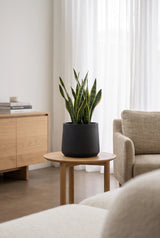 Übertopf Patt Black Washed Pflanzkübel Schwarz aus Ton in Beton-Optik || Abgebildete Größe: XL