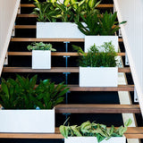 White balcony planter by Pottery Pots, featuring a sleek design and modern aesthetic for outdoor spaces.