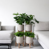 Pottery Pots Charlie Grey Washed Feet Low, featuring a textured rough feet design in a stylish grey finish. || Abgebildete Größe: L