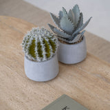 Echeveria künstlich im Zementtopf (Pflanze inkl. Topf) Finestgreen