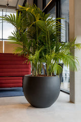 Jumbo Orb Fiberstone Schwarz