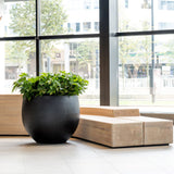 Jumbo Orb Fiberstone Schwarz Finestgreen