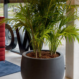 Jumbo Orb Fiberstone Schwarz Finestgreen