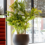 Jumbo Orb Fiberstone Schwarz Finestgreen
