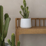 Patt White Washed Finestgreen