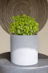 Mini Max Fiberstone Grau