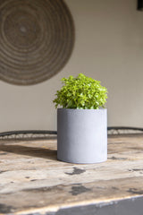 Mini Max Fiberstone Grau