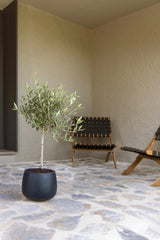 Mini Pax Fiberstone Schwarz