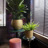 Orb Gold Washed Charlie planter by Pottery Pots, showcasing a sleek, gold-finished design with a round shape.