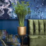 Charlie Gold Washed planter by Pottery Pots, featuring a sleek gold finish and modern design for stylish indoor decor. || Abgebildete Größe: M