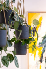 Hanging Charlie Schwarz planter by Pottery Pots, featuring a sleek design and vibrant black finish. || Offenporige Oberfläche
