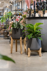 Patt Black Washed Feet High