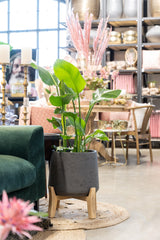 Patt Black Washed Feet Low