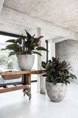 Jesslyn Oyster Imperial Weiß