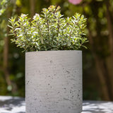 Suzi Grey Washed Finestgreen || Offenporige Oberfläche