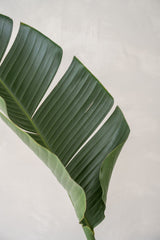 Patt Straw Grass handgewebter Pflanzkorb