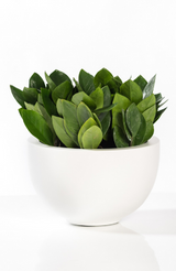 Peter Matt Weiß Finestgreen