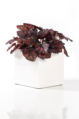 Mini Block Matt Weiß Finestgreen