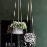 Hanging Patt Set Grau (2er Set) Finestgreen || Abgebildete Größen: M & L