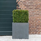 Block Fiberstone Grau Finestgreen