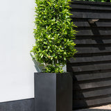 Bouvy Fiberstone Schwarz Finestgreen
