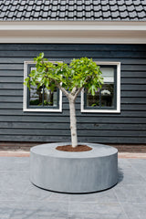 Seating Circle Grau Finestgreen