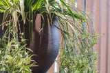 Orb Black Washed Finestgreen