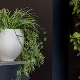 Orb Grey Washed Finestgreen