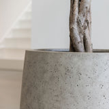 Jumbo Patt Grey Washed Finestgreen || Offenporige Betonoberfäche