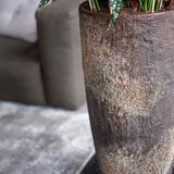 Dax Oyster Imperial Braun Finestgreen