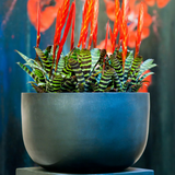 Sunny Fiberstone Schwarz Finestgreen