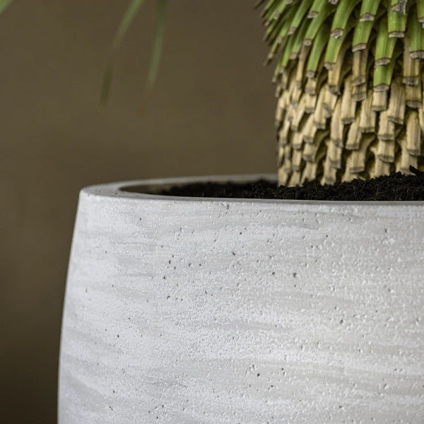 Fiberstone, Fiberclay & Co.: Was steckt wirklich in deinem Pflanzkübel?