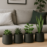 4x Patt Black Washed Ø:20 L