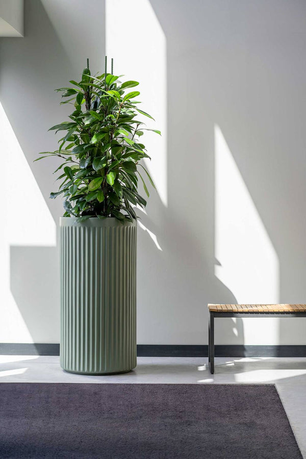 Blumentopf Turris Salbeigrün aus Fiberglas