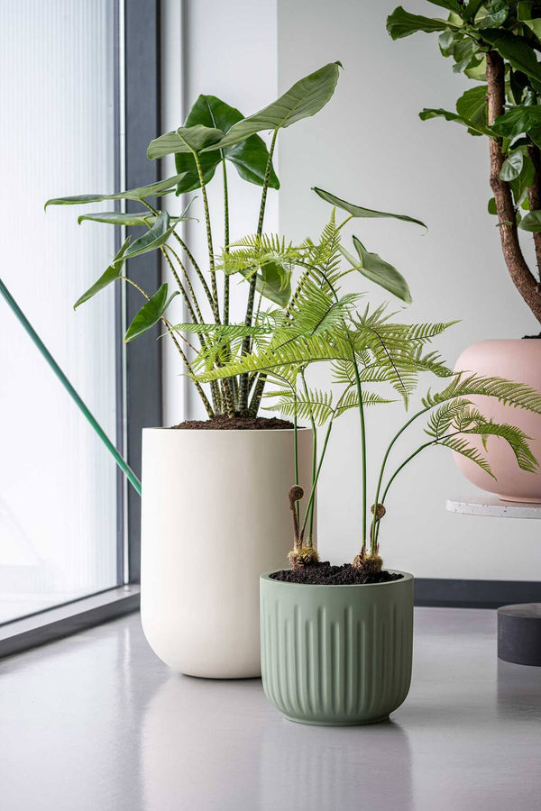 Blumentopf Arcus Salbeigrün aus Fiberglas